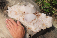 Natural Quartz Crystal Specimen x 1 From Messina Mine, South Africa