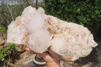 Natural Quartz Crystal Specimen x 1 From Messina Mine, South Africa