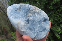 Polished Celestite Geode Eggs x 2 From Sakoany, Madagascar