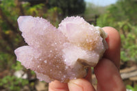 Natural Amethyst Spirit Quartz Clusters x 12 From Boekenhouthoek, South Africa