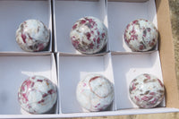 Polished Rubellite Pink Tourmaline Spheres x 6 From Ambatondrazaka, Madagascar