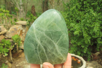 Polished Green Fluorite Standing Free Forms x 3 From Madagascar