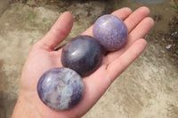 Polished Lepidolite with Pink Rubellite Palm Stones x 24 From Ambatondrazaka, Madagascar