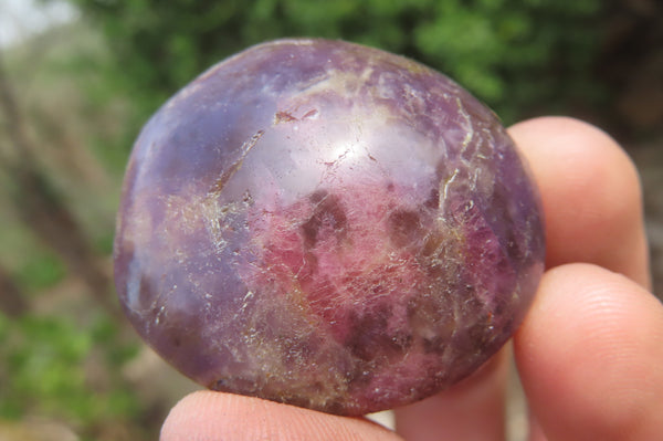 Polished Lepidolite with Pink Rubellite Palm Stones x 24 From Ambatondrazaka, Madagascar