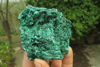 Natural Silky Malachite Specimens x 10 From Kasompe, Congo