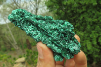 Natural Silky Malachite Specimens x 10 From Kasompe, Congo