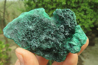 Natural Silky Malachite Specimens x 10 From Kasompe, Congo