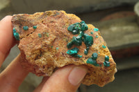 Natural Dioptase On Dolomite Specimens x 6 From Likasi, Congo