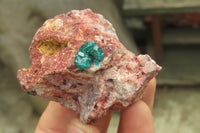 Natural Dioptase On Dolomite Specimens x 6 From Likasi, Congo