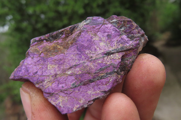 Natural Metallic Purpurite Cobbed Specimens x 12 From Erongo, Namibia