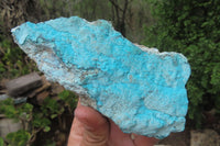 Natural Botryoidal Chrysocolla Specimens x 4 From Lupoto Mine, Congo