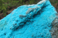 Natural Botryoidal Chrysocolla Specimens x 4 From Lupoto Mine, Congo