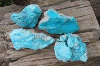 Natural Botryoidal Chrysocolla Specimens x 4 From Lupoto Mine, Congo