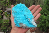 Natural Botryoidal Chrysocolla Specimens x 4 From Lupoto Mine, Congo