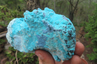 Natural Botryoidal Chrysocolla Specimens x 4 From Lupoto Mine, Congo