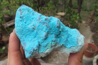 Natural Botryoidal Chrysocolla Specimens x 4 From Lupoto Mine, Congo