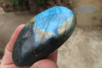 Polished Labradorite Palm Stones x 7 From Tulear, Madagascar