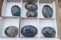 Polished Labradorite Palm Stones x 7 From Tulear, Madagascar