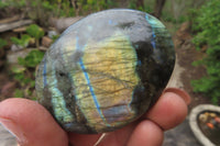 Polished Labradorite Palm Stones x 7 From Tulear, Madagascar