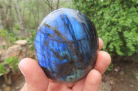 Polished Labradorite Palm Stones x 7 From Tulear, Madagascar