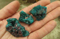 Natural Dioptase On Dolomite Specimens x 12 From Likasi, Congo