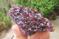 Natural Amethystos Amethyst Plates x 12 From Kwaggafontein, South Africa