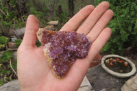 Natural Amethystos Amethyst Plates x 12 From Kwaggafontein, South Africa