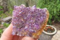 Natural Amethystos Amethyst Plates x 12 From Kwaggafontein, South Africa