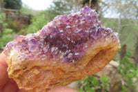 Natural Amethystos Amethyst Plates x 12 From Kwaggafontein, South Africa