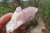 Natural Amethyst Spirit Quartz Clusters x 12 From Boekenhouthoek, South Africa