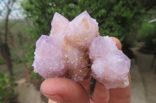 Natural Amethyst Spirit Quartz Clusters x 12 From Boekenhouthoek, South Africa