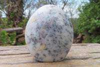 Polished Dendritic Opal Standing Free Forms x 3 From Moralambo, Madagascar