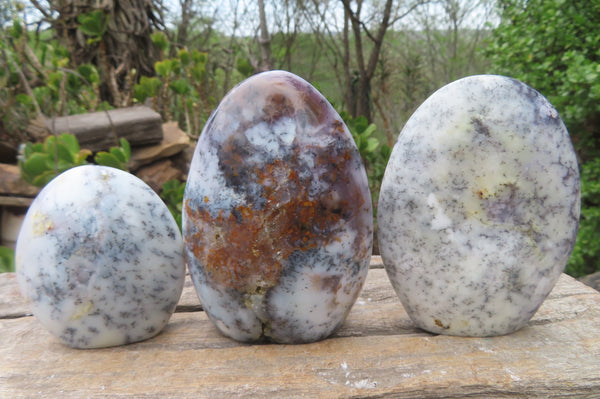 Polished Dendritic Opal Standing Free Forms x 3 From Moralambo, Madagascar