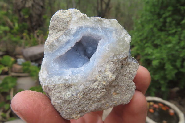 Natural Blue Lace Agate Geode Specimens x 12 From Malawi