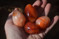 Polished Carnelian Eggs x 12 from Madagascar