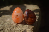 Polished Carnelian Eggs x 12 from Madagascar