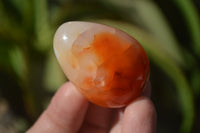 Polished Carnelian Eggs x 12 from Madagascar