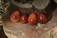 Polished Carnelian Eggs x 12 from Madagascar