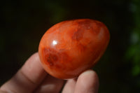 Polished Carnelian Eggs x 12 from Madagascar