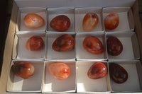 Polished Carnelian Eggs x 12 from Madagascar