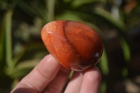 Polished Carnelian Eggs x 12 from Madagascar