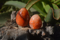 Polished Carnelian Eggs x 12 from Madagascar