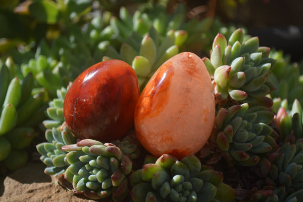 Polished Carnelian Eggs x 12 from Madagascar