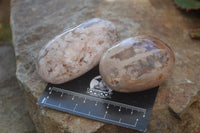 Polished Flower Agate Galet-Palm Stones x 12 From Antsahalova, Madagascar