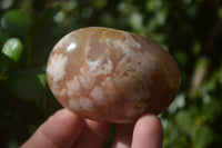 Polished Flower Agate Galet-Palm Stones x 12 From Antsahalova, Madagascar