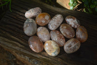 Polished Flower Agate Galet-Palm Stones x 12 From Antsahalova, Madagascar