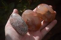 Polished Flower Agate Galet-Palm Stones x 12 From Antsahalova, Madagascar