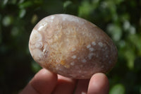 Polished Flower Agate Galet-Palm Stones x 12 From Antsahalova, Madagascar