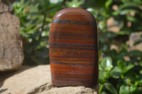 Polished Banded Tiger Iron / Muggle Stone Standing Free Forms x 3 From Northern Cape, South Africa