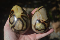 Polished Septerye Eggs x 3 From Mahajanga, Madagascar